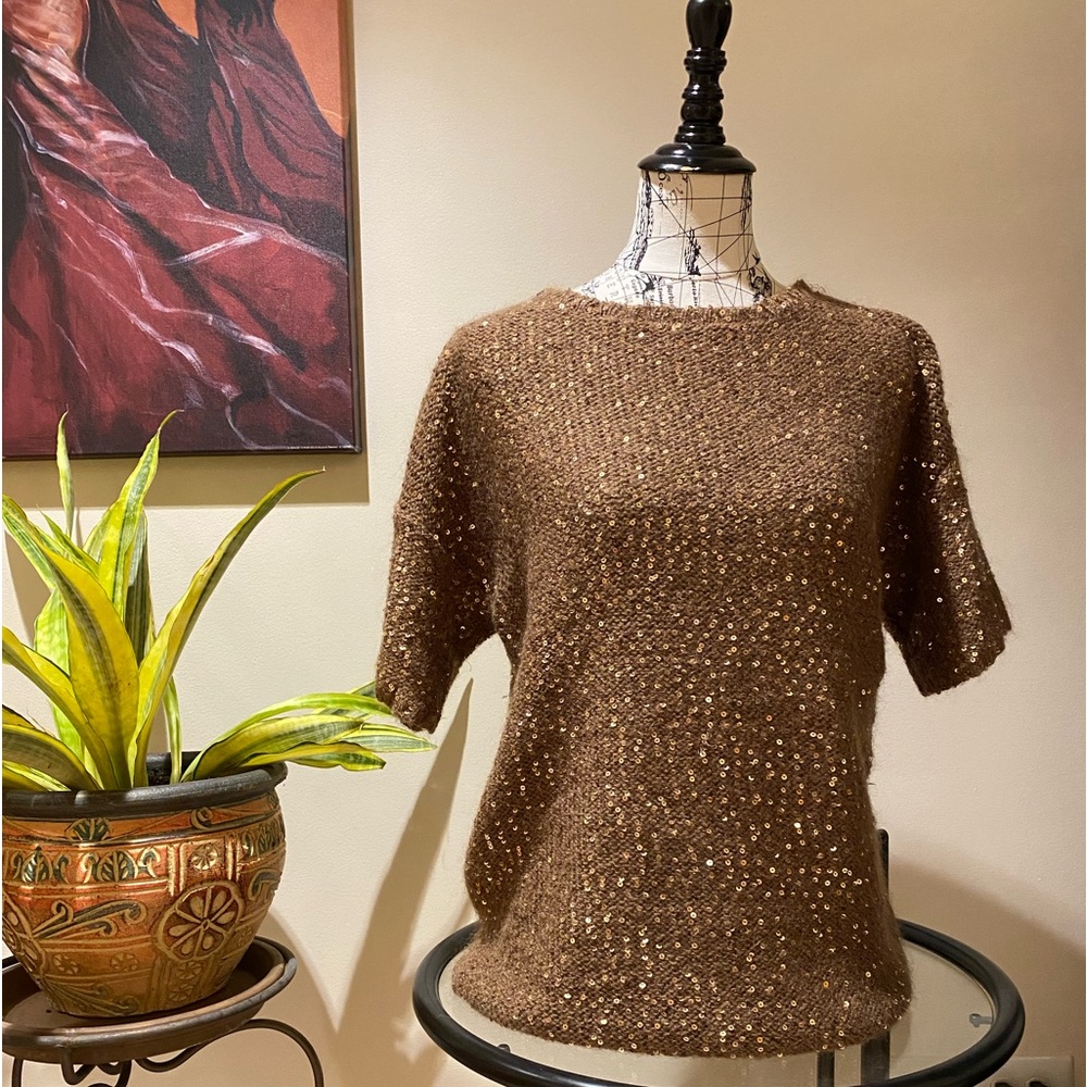 Ann Taylor, size L, Very Fun & comfortable brown sequined short sleeve sweater.